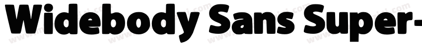 Widebody Sans Super字体转换